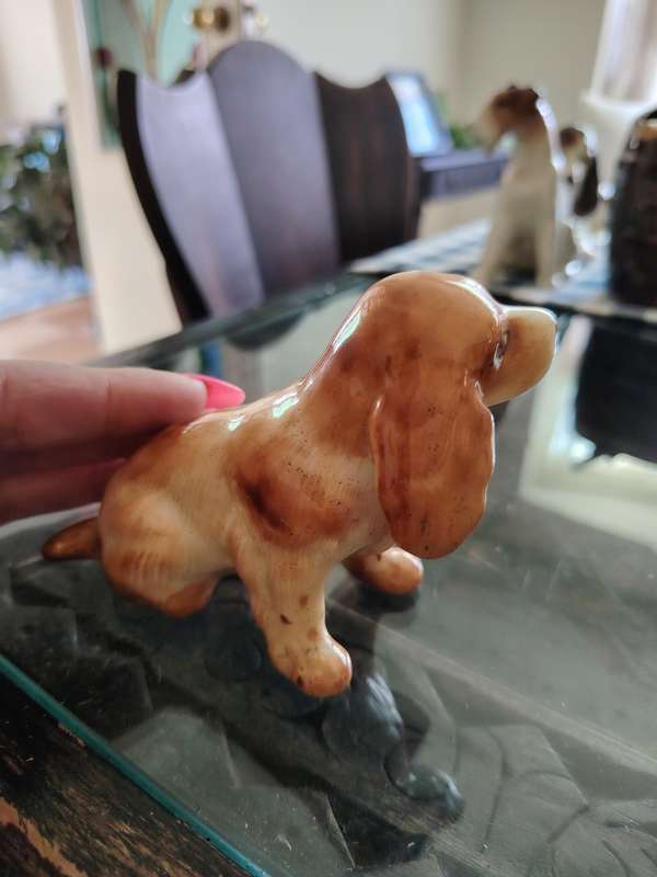 Beautiful vintage Midwinter cocker spaniel