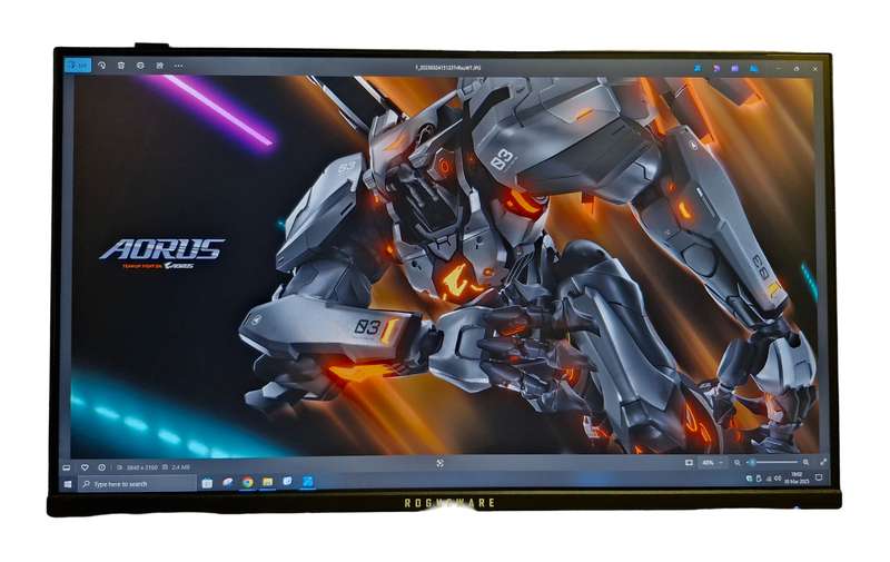 Rogueware 24-inch, Full HD 1920x1080, 4msec, 100Hz, IPS LED Monitor, AMD FreeSync - immaculate