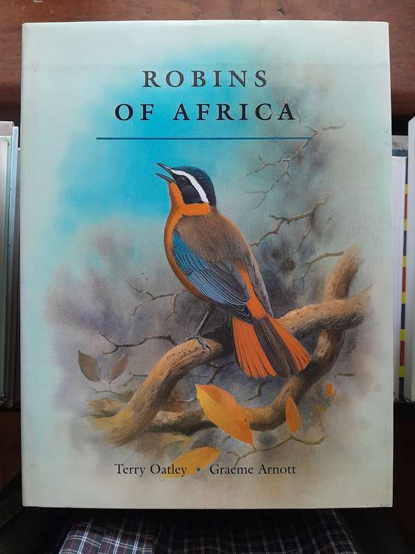 Robins of Africa