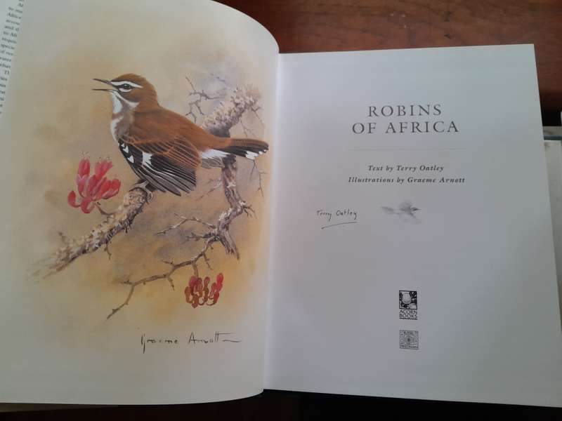 Robins of Africa
