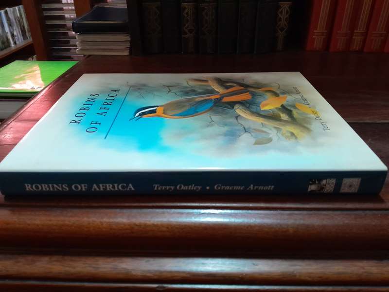 Robins of Africa
