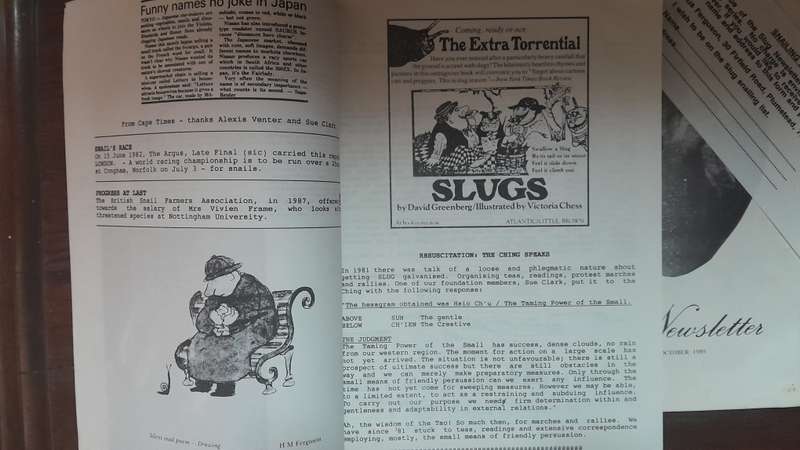 Slug Newsletter - set of 7