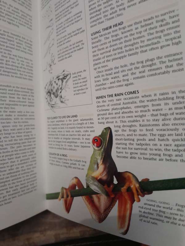 Facts - Reader's Digest