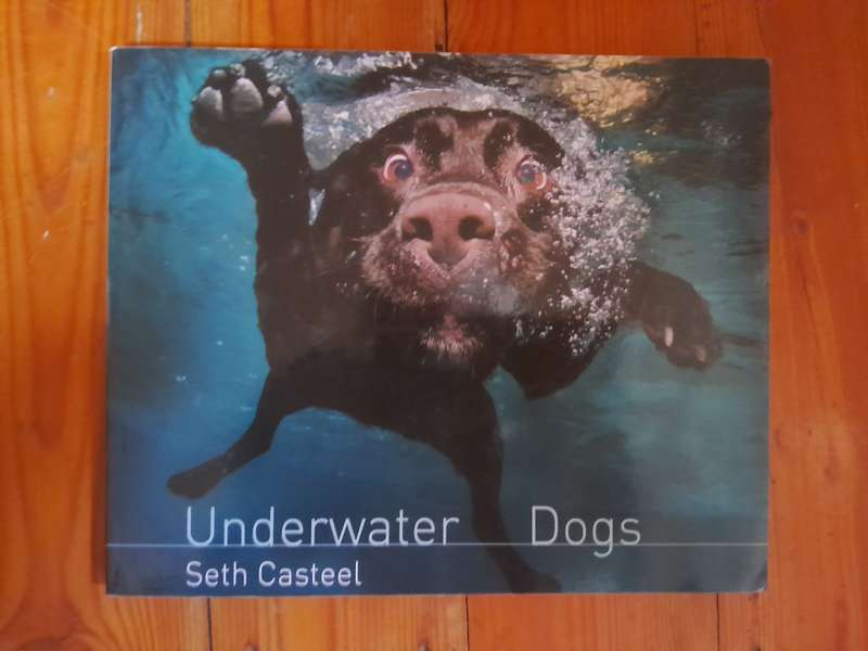 Underwater Dogs