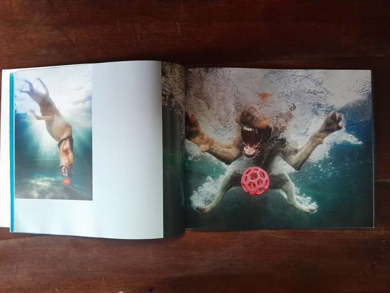 Underwater Dogs