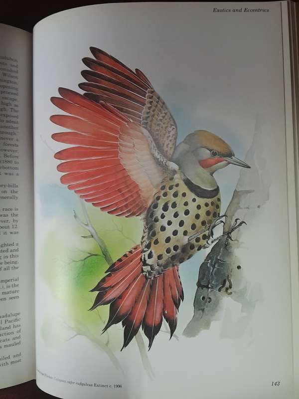 The encyclopedia of Vanished Species