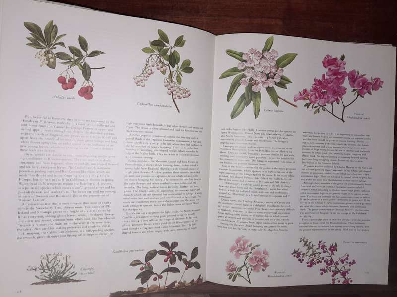 Flowers of the World - with botanical illustrations