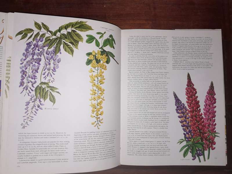 Flowers of the World - with botanical illustrations
