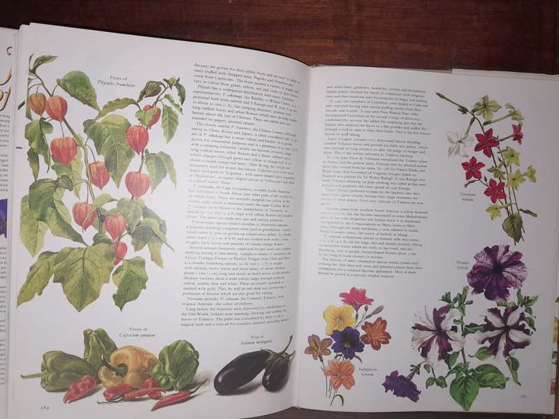 Flowers of the World - with botanical illustrations