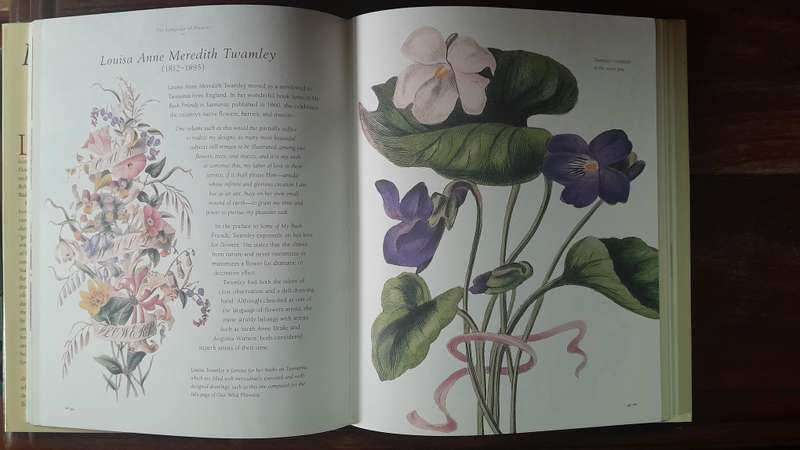 The art of flowers - botananical illustrations