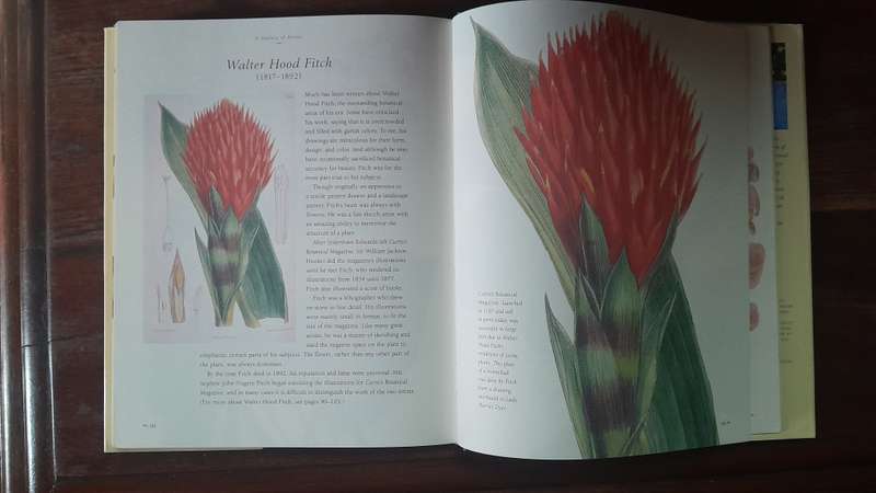 The art of flowers - botananical illustrations