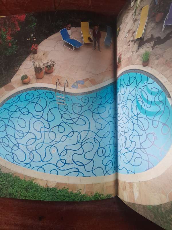 David Hockney - That's the way I see it