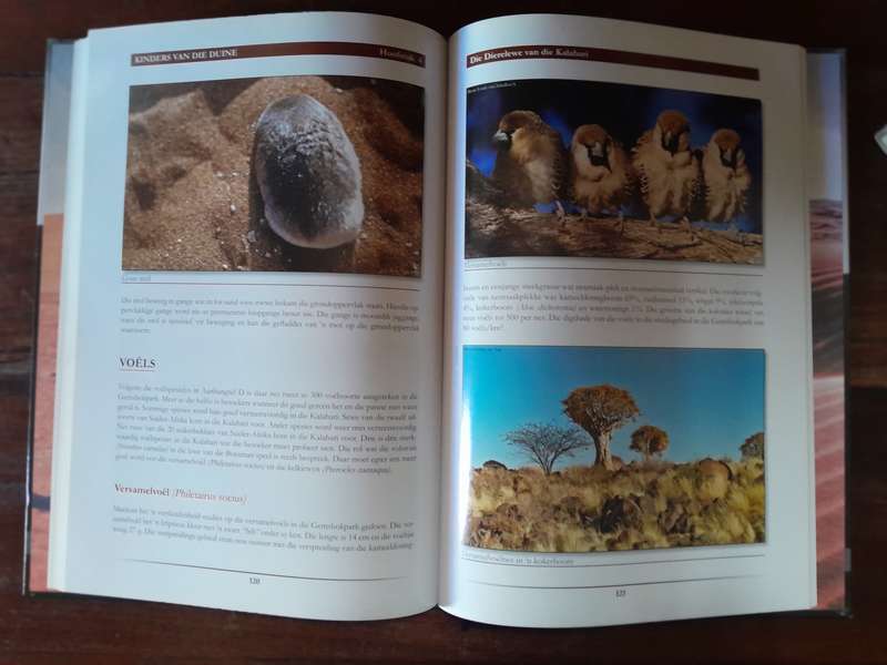 Kinders van die Duine, A Place called Vatmaar & Children of the Mist