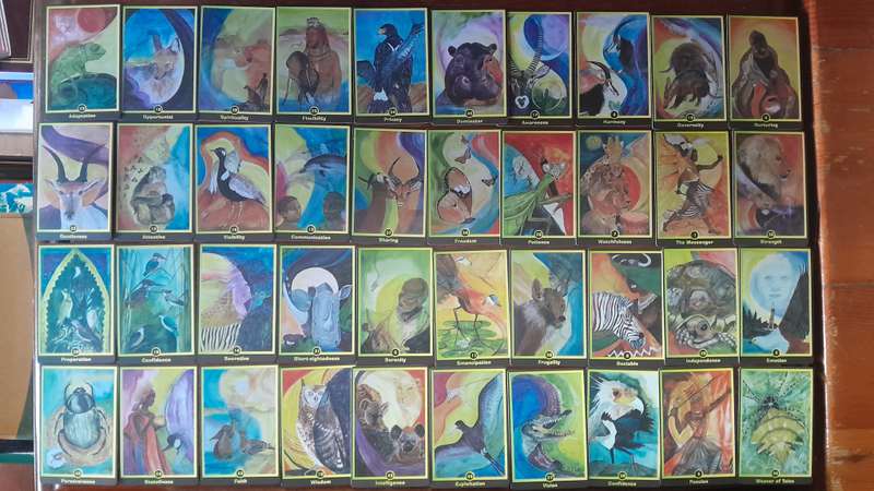 Cards with a book in a box - African Animal Messages
