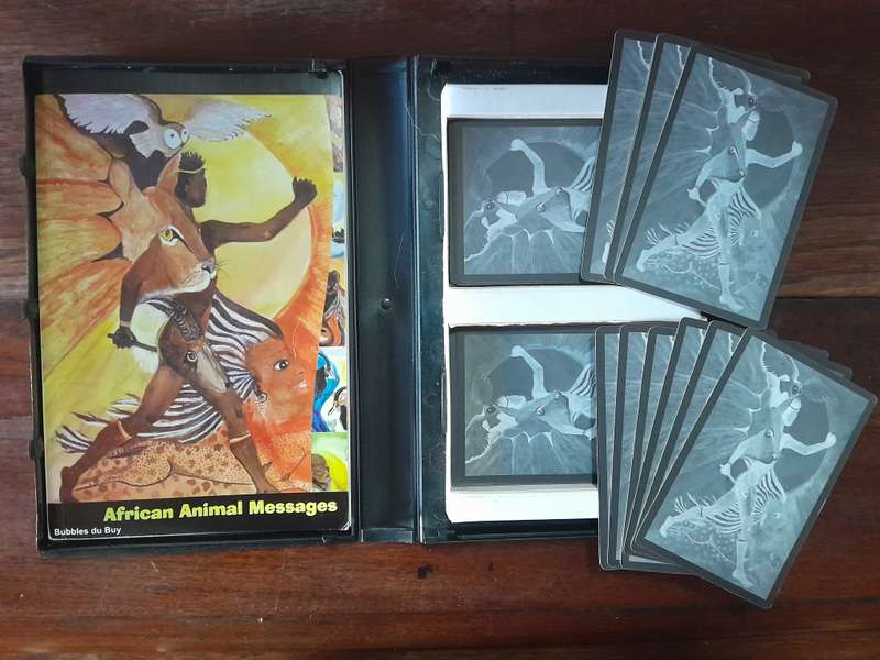 Cards with a book in a box - African Animal Messages