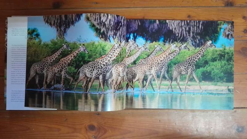 The Selous in Africa