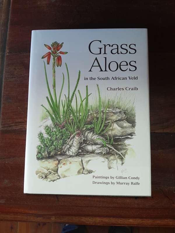 Grass Aloes in the South African Veld