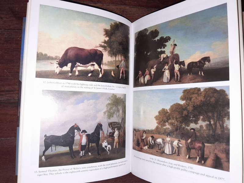 George Stubbs - Robin Blake