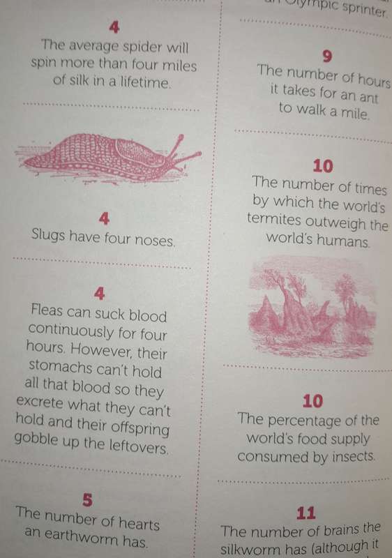 Numberland - The World in Numbers