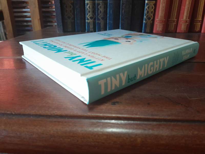 Tiny but Mighty