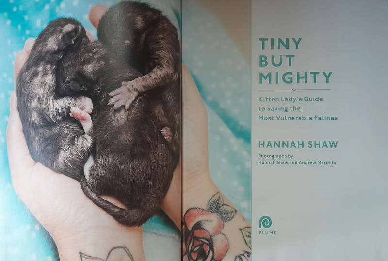 Tiny but Mighty