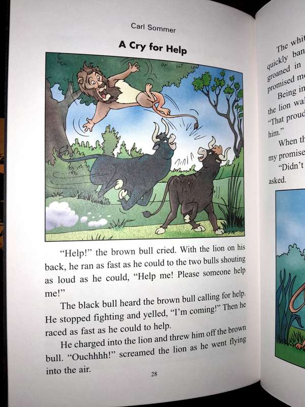 Set of 8 books for children - Carl Sommer