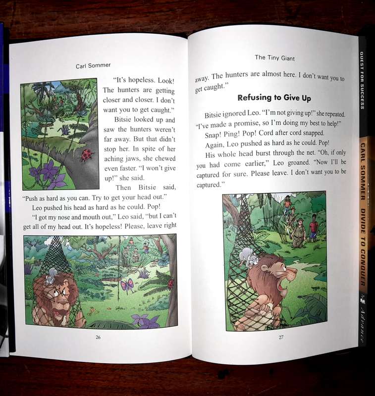 Set of 8 books for children - Carl Sommer