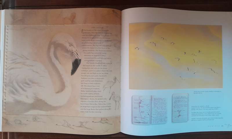 Africa - An Artist's Journal