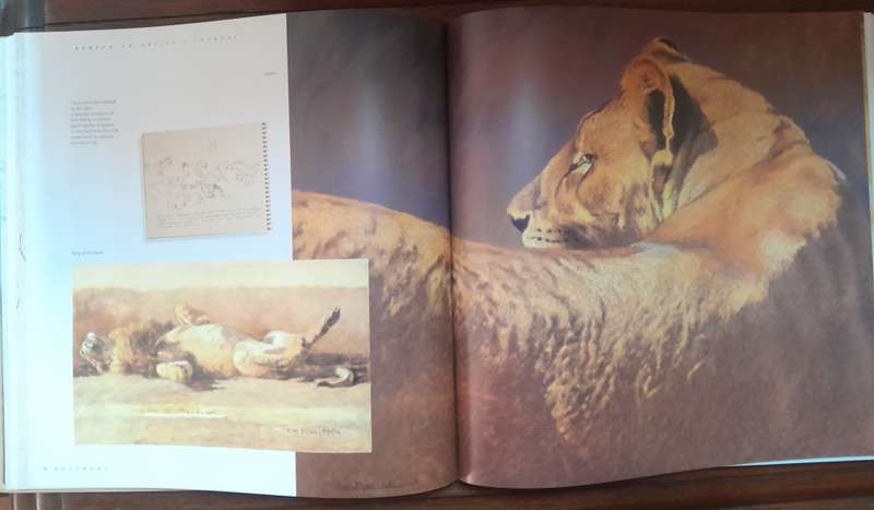 Africa - An Artist's Journal