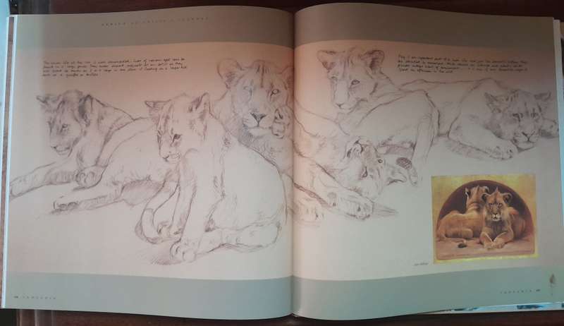 Africa - An Artist's Journal