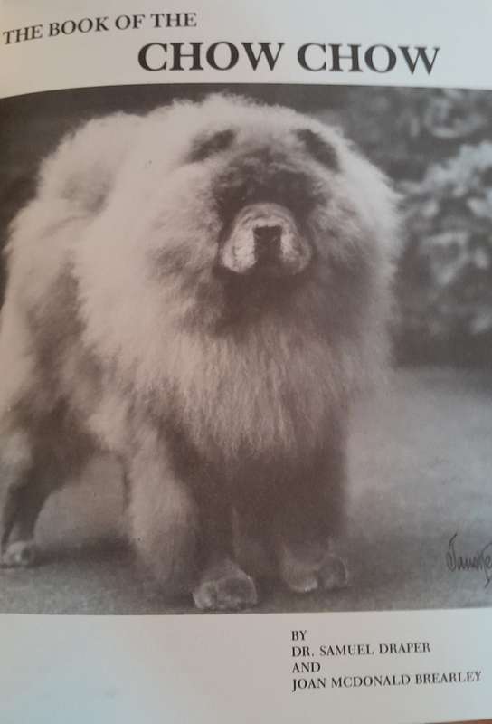 The Book of the Chow Chow