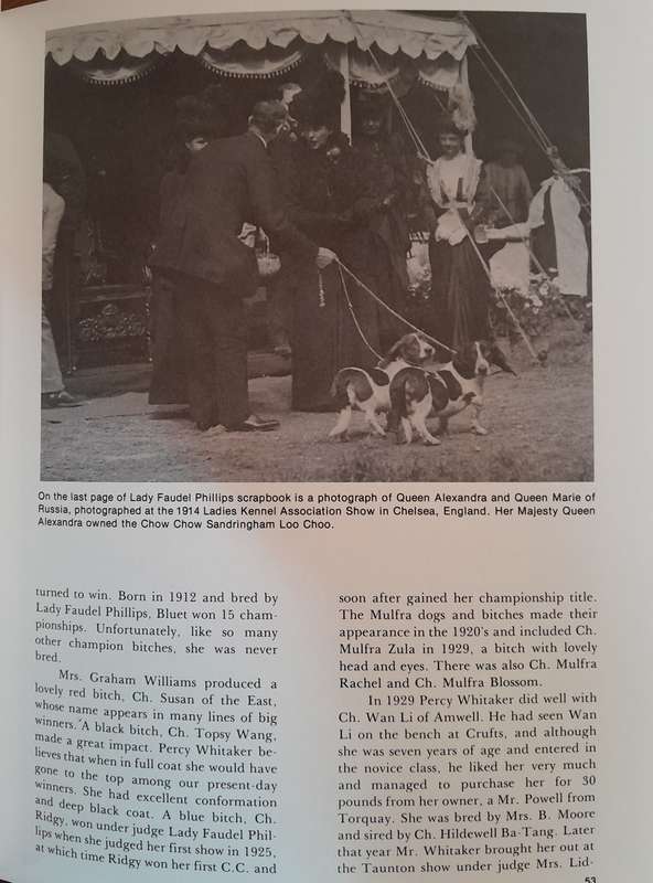 The Book of the Chow Chow