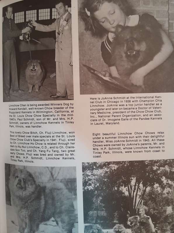The Book of the Chow Chow