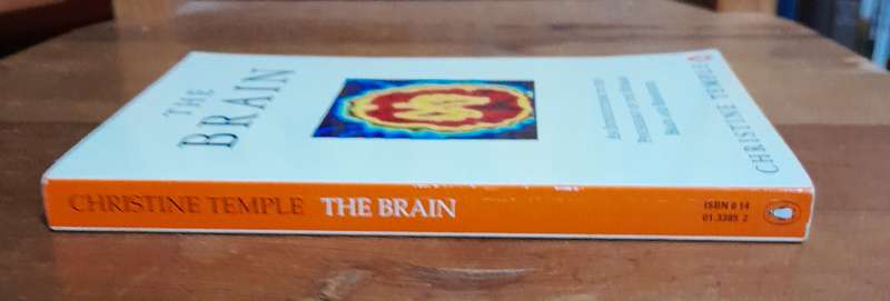 The Brain