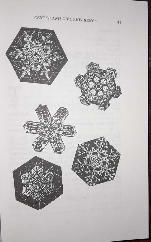 The Web in the Sea - Jung, Sophia and the Geometry of the Soul