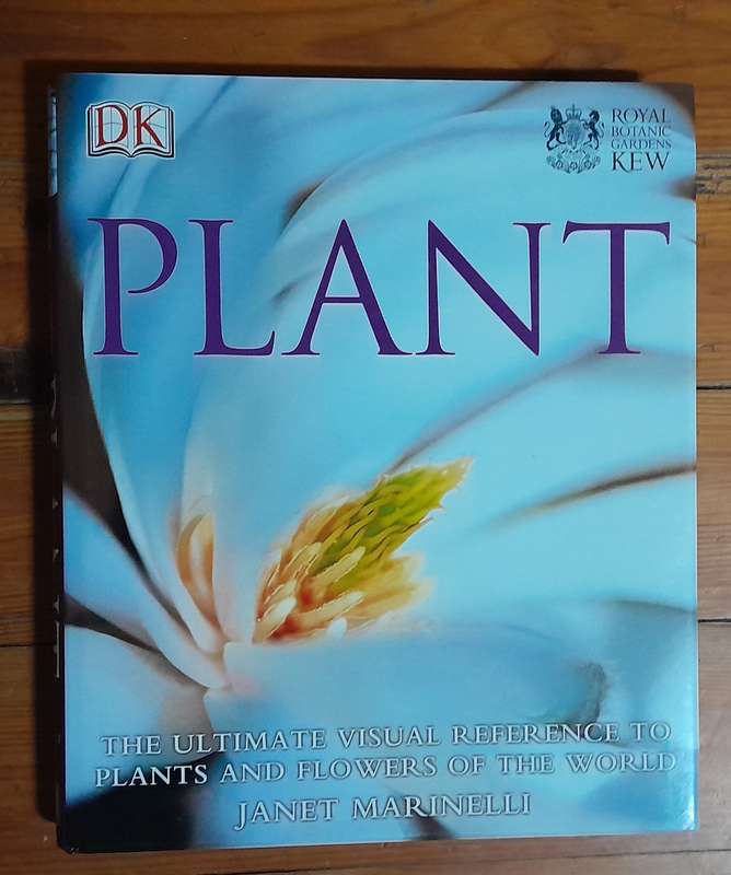 Plant - Janet Marinelli