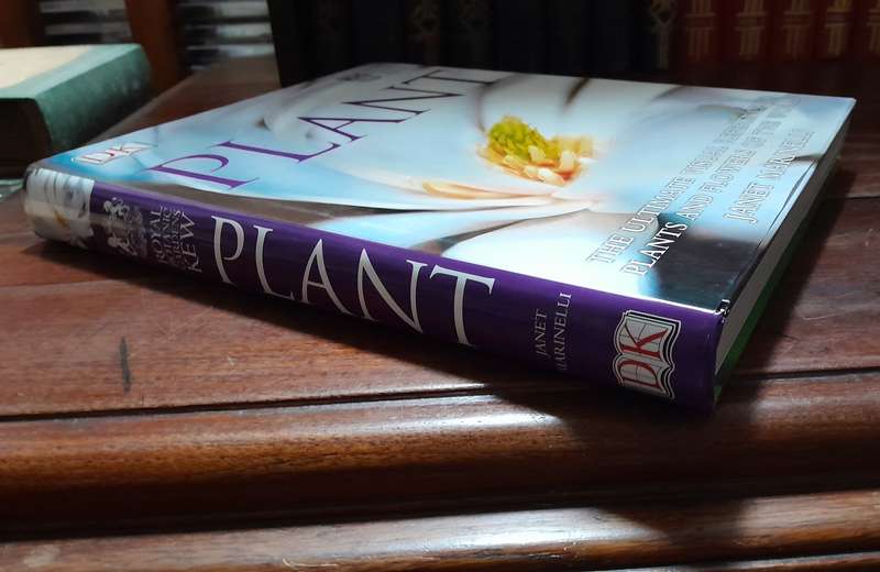 Plant - Janet Marinelli