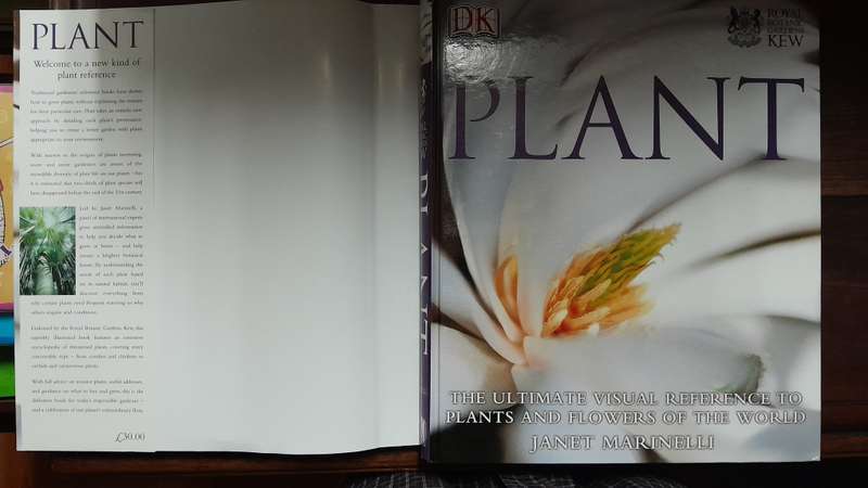 Plant - Janet Marinelli