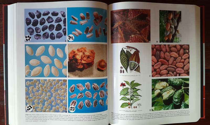 The Encyclopedia of Seeds