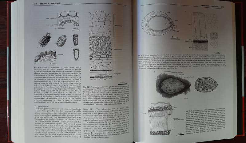 The Encyclopedia of Seeds