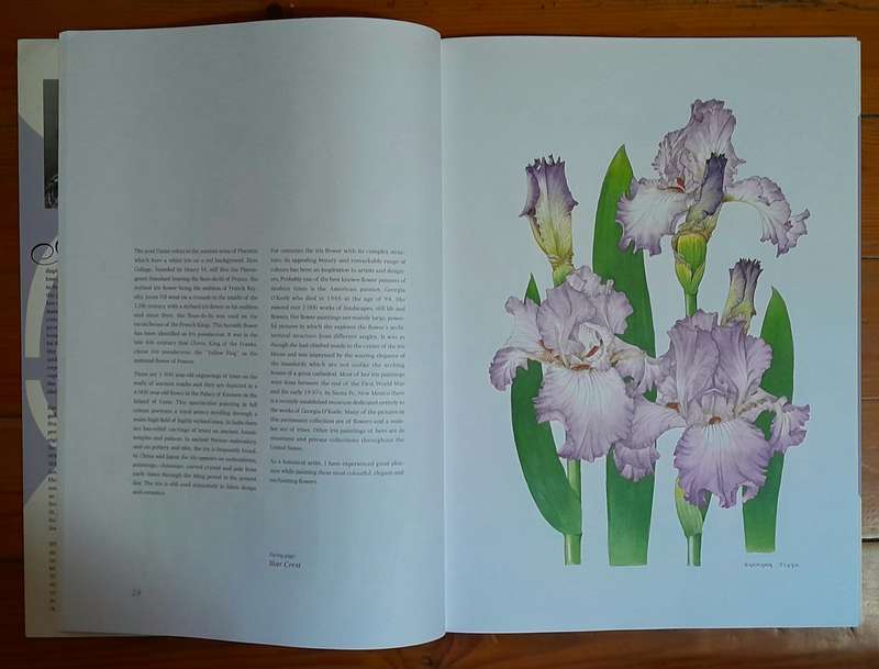 Irises - Barbara Jeppe