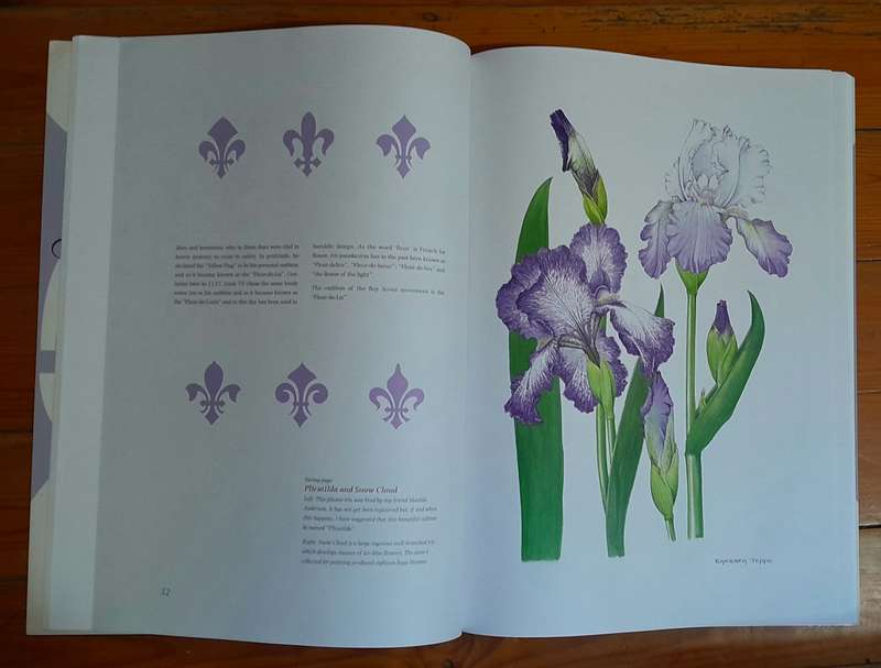 Irises - Barbara Jeppe