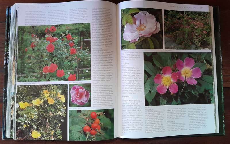 The Ultimate Book of Trees and Shrubs