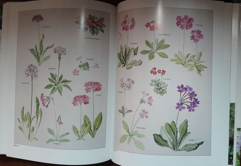 Assorted Gardening Books - set of 6