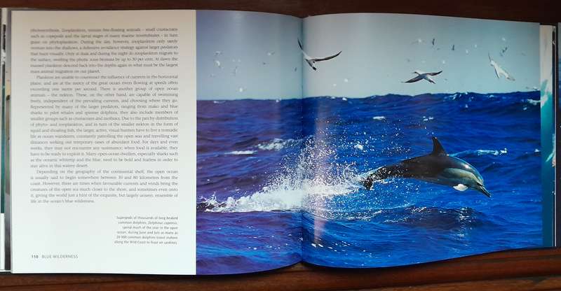Wild Seas Secret Shores of Africa