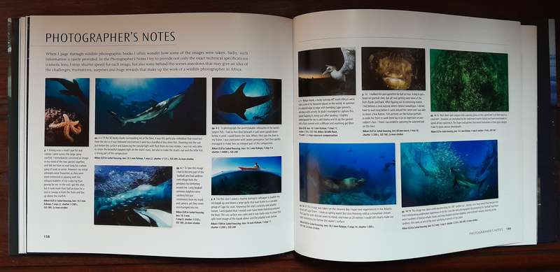 Wild Seas Secret Shores of Africa