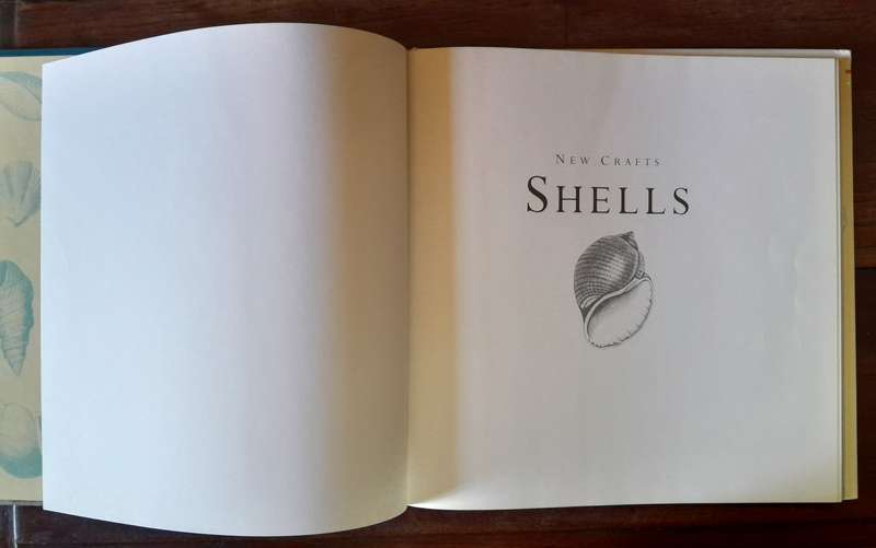 New Crafts - Shells