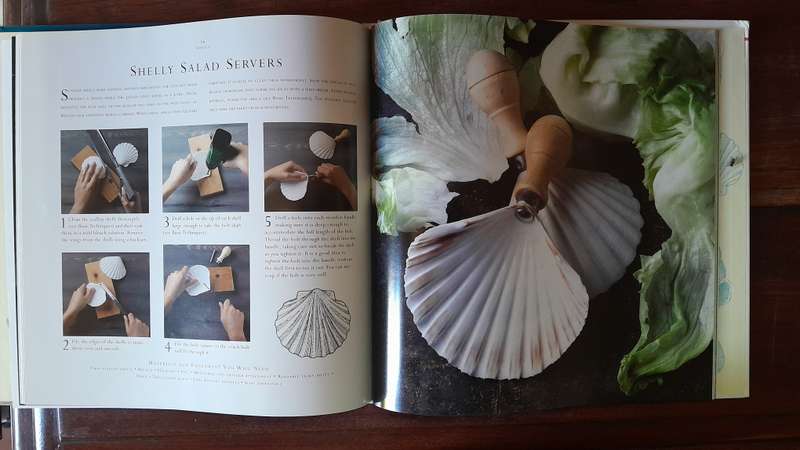 New Crafts - Shells