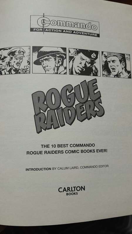 Rogue Raiders