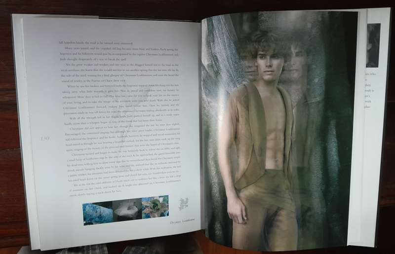 In the Forest Fey - Faerie World